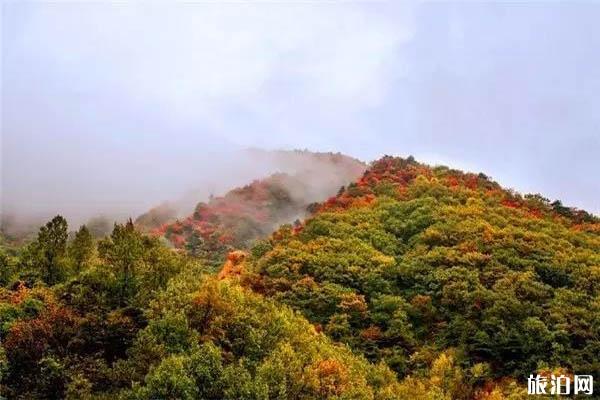 西安周边秋季旅游推荐 西安周边秋景最好地方推荐