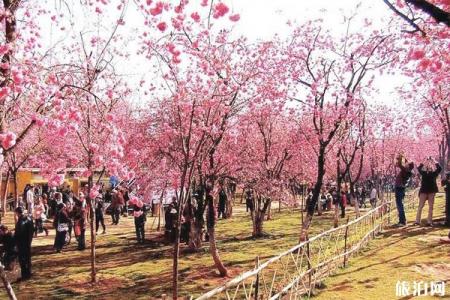 2024昆明圆通山游玩攻略 - 门票 - 交通 - 地址