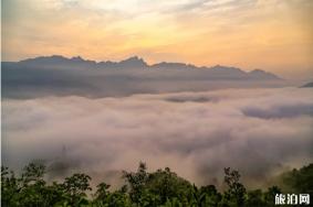 2020西峡教师节免门票景区