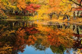 苏州天平山枫叶最佳观赏时间及地点 什么时候红