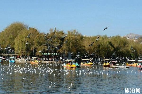 2022昆明翠湖游玩攻略 - 门票 - 交通 - 地址 