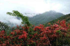 通天蠟燭山游玩攻略-門票價格-景點信息