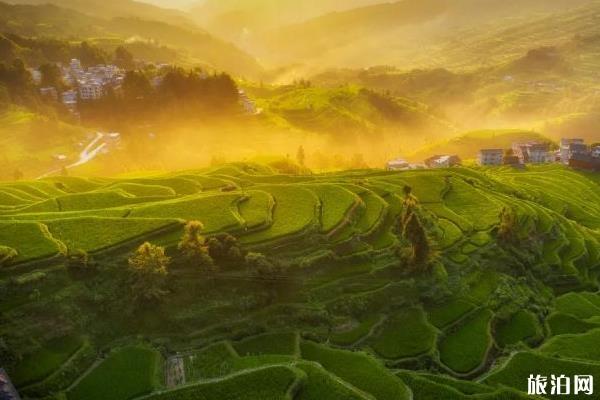 貴州有什么好玩的地方和景點介紹