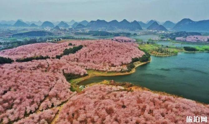 貴州有什么好玩的地方和景點介紹