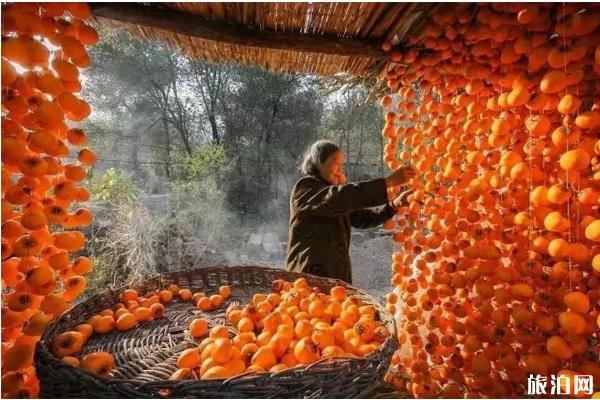 陕西秋天自驾游去哪里玩 陕西秋天自驾游最佳路线推荐