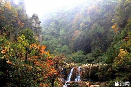 2024昭通小草坝风景区旅游攻略 - 门票价格 - 优惠政策 - 开放时间 - 交通 - 地址 - 电话 - 天气