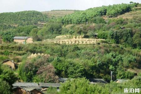 2022昭通巧家药山自然保护区游玩攻略 - 介绍 - 门票 - 开放时间