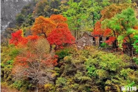 洛阳周边秋季旅游景点推荐