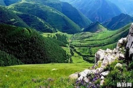 2023甸顶山旅游攻略 - 开放时间 - 门票价格 - 地址 - 交通 - 天气