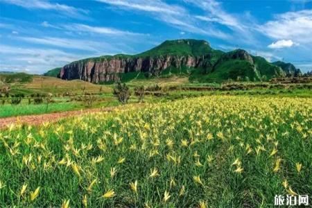 2023甸顶山旅游攻略 - 开放时间 - 门票价格 - 地址 - 交通 - 天气