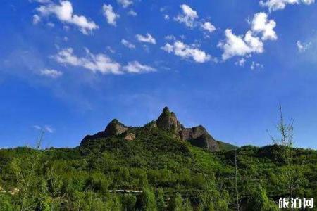 2022陇南牛头寺森林公园游玩攻略 - 门票 - 交通 - 天气