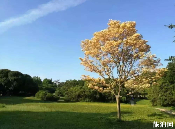 9月14日起暫停紫馬嶺公園水秀表演-恢復時間