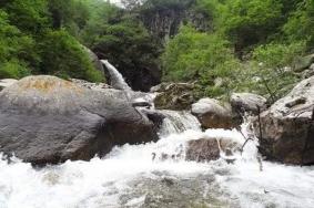 临夏大山庄峡景区游玩攻略-门票价格-景点信息