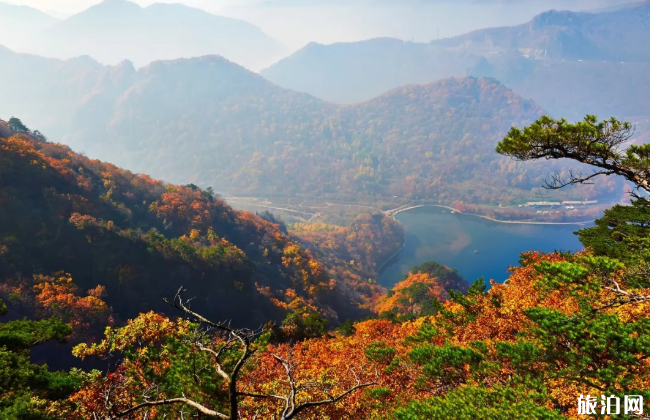 2020國慶紅葉哪里有-賞紅葉好去處 紅葉最佳觀賞時間地點