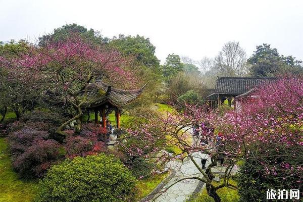 2020国庆中秋杭州植物园旅游攻略 开放时间及门票及地址