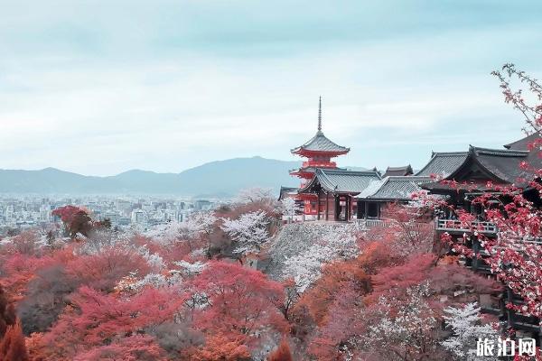 2020年国庆可以去日本旅游了吗 去日本带转换插头吗