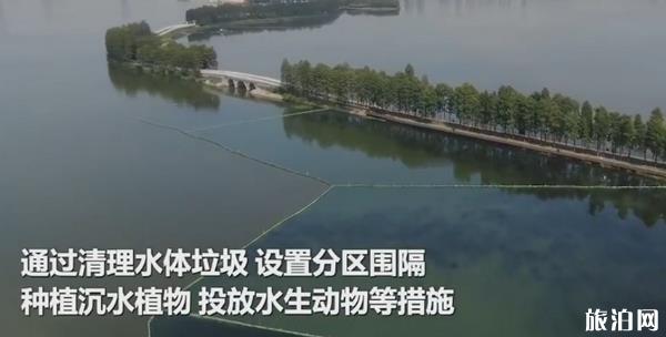 武汉东湖水下森林 武汉东湖水质环境怎么样