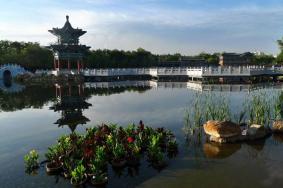 金昌金川公園游玩攻略-門票價格-景點信息