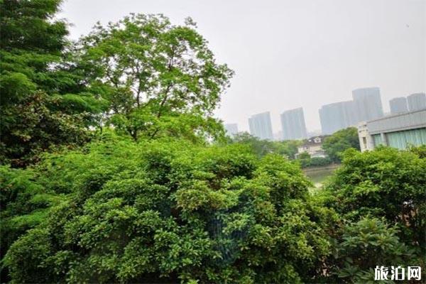 九龍湖公園真趣園在哪 有什么好玩的