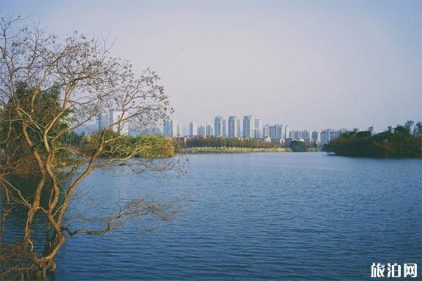 九龍湖公園真趣園在哪 有什么好玩的