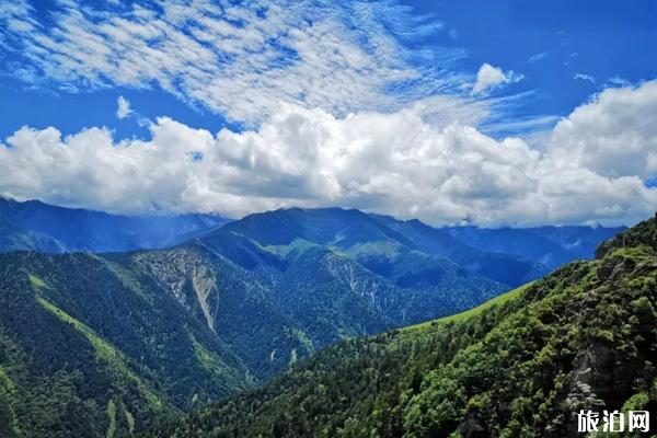 巴郎山贝母坪在哪里 贝母坪简介交通及游玩攻略