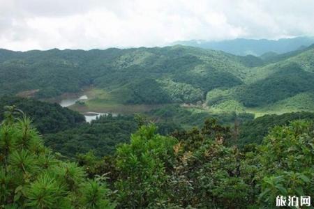 哀牢山国家级自然保护区旅游攻略-门票价格-景点信息