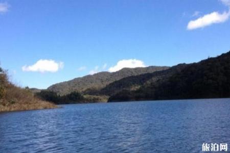 哀牢山国家级自然保护区旅游攻略-门票价格-景点信息