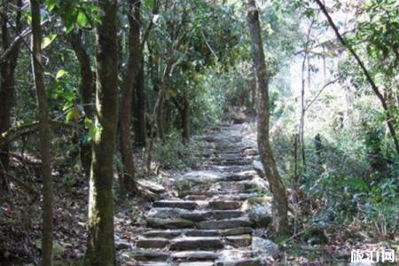 哀牢山国家级自然保护区旅游攻略-门票价格-景点信息