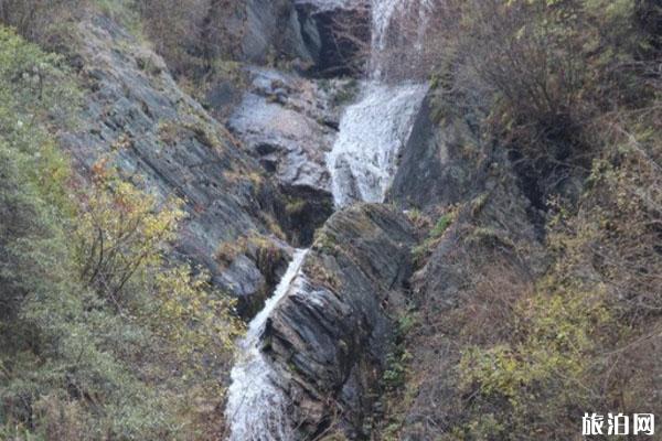 2020西宁松山原始森林风景区门票交通开放时间
松山原始森林风景区旅游攻略