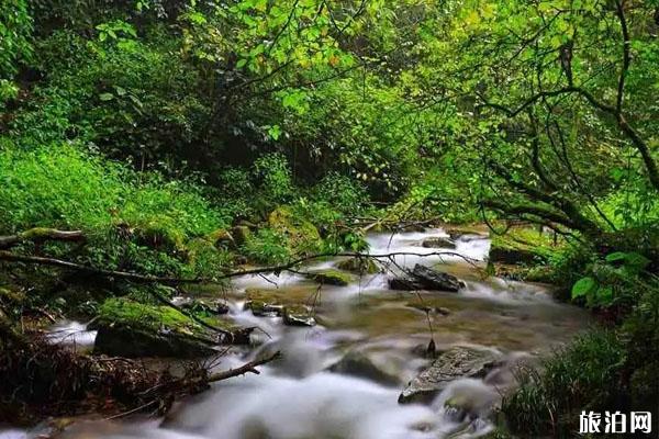 2022果洛玛柯河原始森林生态旅游景区游玩攻略 - 门票 - 交通 - 天气