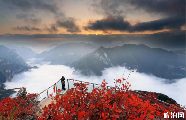 2020國慶巫山紅葉紅了嗎 巫山紅葉最佳觀賞時間及地點