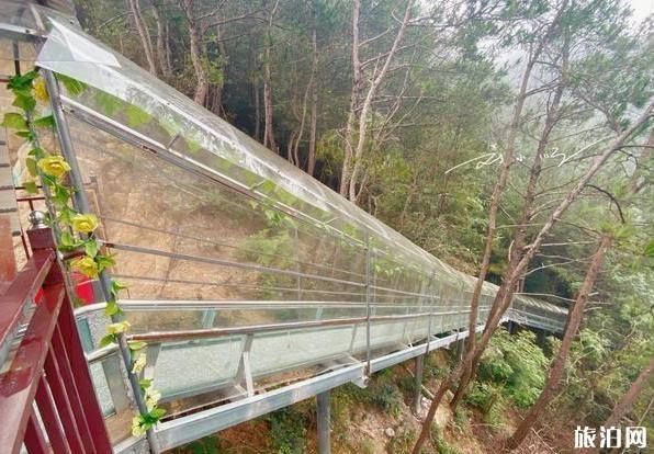 天仙峡玻璃桥好玩吗 天仙峡景区玻璃桥怎么样