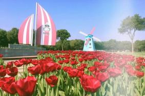 2020东西湖郁金香主题公园什么时候开园 大余湾景区开放吗
