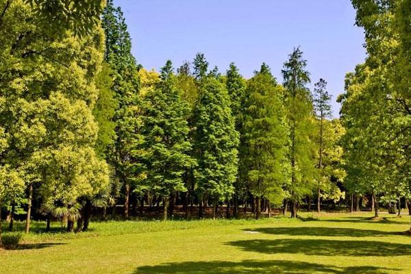 西寧大黑溝森林公園旅游攻略-門票價格-景點信息