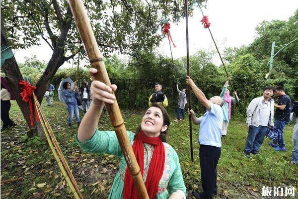 西溪火柿节2020时间和地点 西溪火柿节活动介绍