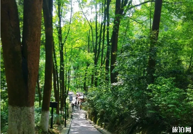 成都周边爬山一日游景点推荐及交通指南