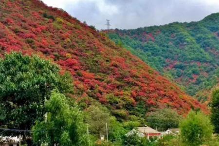 秋季秦岭自驾游攻略 秋季秦岭自驾路线推荐