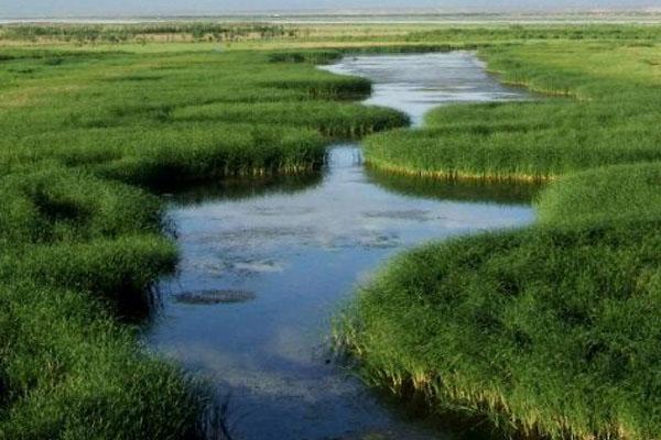 2022宁夏天河湾黄河湿地公园攻略 - 门票 - 交通 - 天气