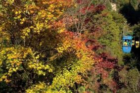 即日起至9月30日尧山门票免费政策2020 秋天的尧山怎么样