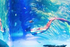 重庆幻太奇海洋馆好玩吗 重庆幻太奇海洋馆怎么样