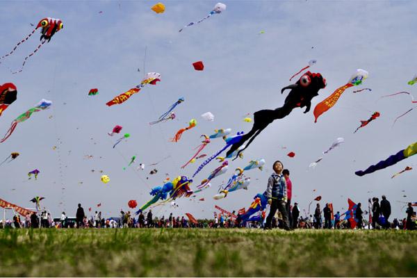 2020潍坊国际风筝会要门票吗和门票价格 潍坊国际风筝会活动安排