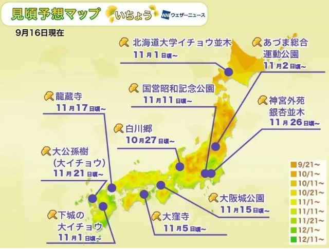 日本红叶时间表2020 日本红枫哪里最好看