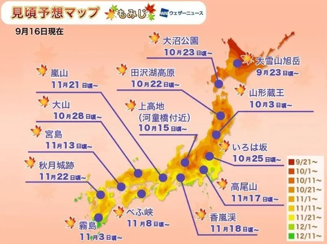 日本红叶时间表2020 日本红枫哪里最好看
