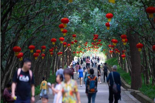 2020南京灵谷桂花节时间和地点 南京灵谷桂花节活动介绍