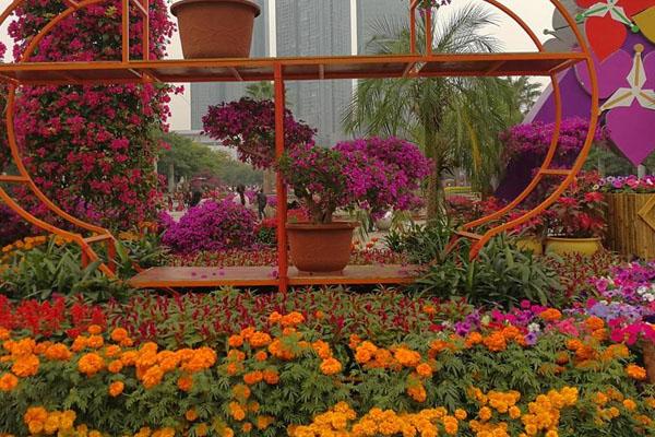 2020长沙国庆赏花好地方推荐 有哪些花展