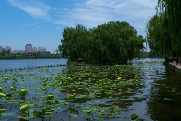 大明湖旅游攻略