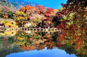 天平山枫叶观赏最佳时间 苏州天平山枫叶在哪里看好看
