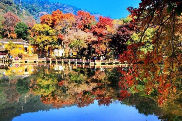 天平山枫叶观赏最佳时间 苏州天平山枫叶在哪里看好看