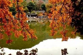 苏州有什么好玩的地方旅游景点