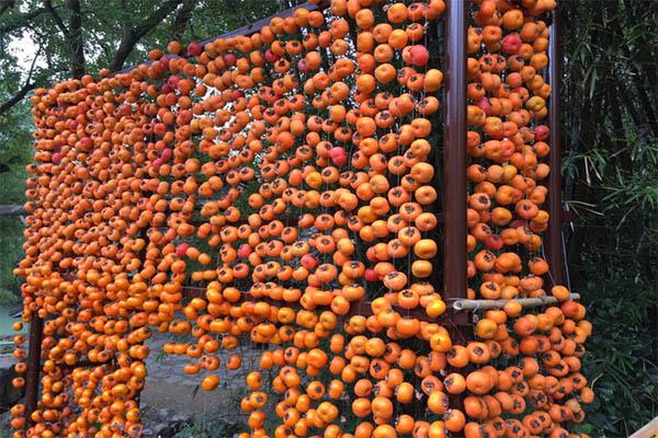 2020余姚四明山丹山赤水柿子节有哪些活动
